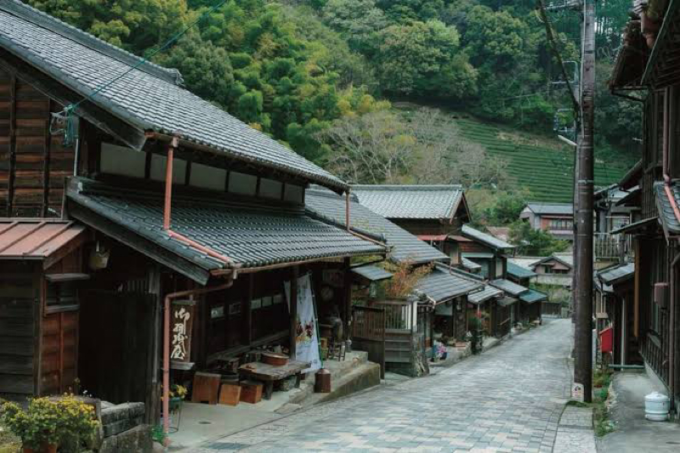 日本の四季を楽しみ、静岡の歴史にふれる小さな旅