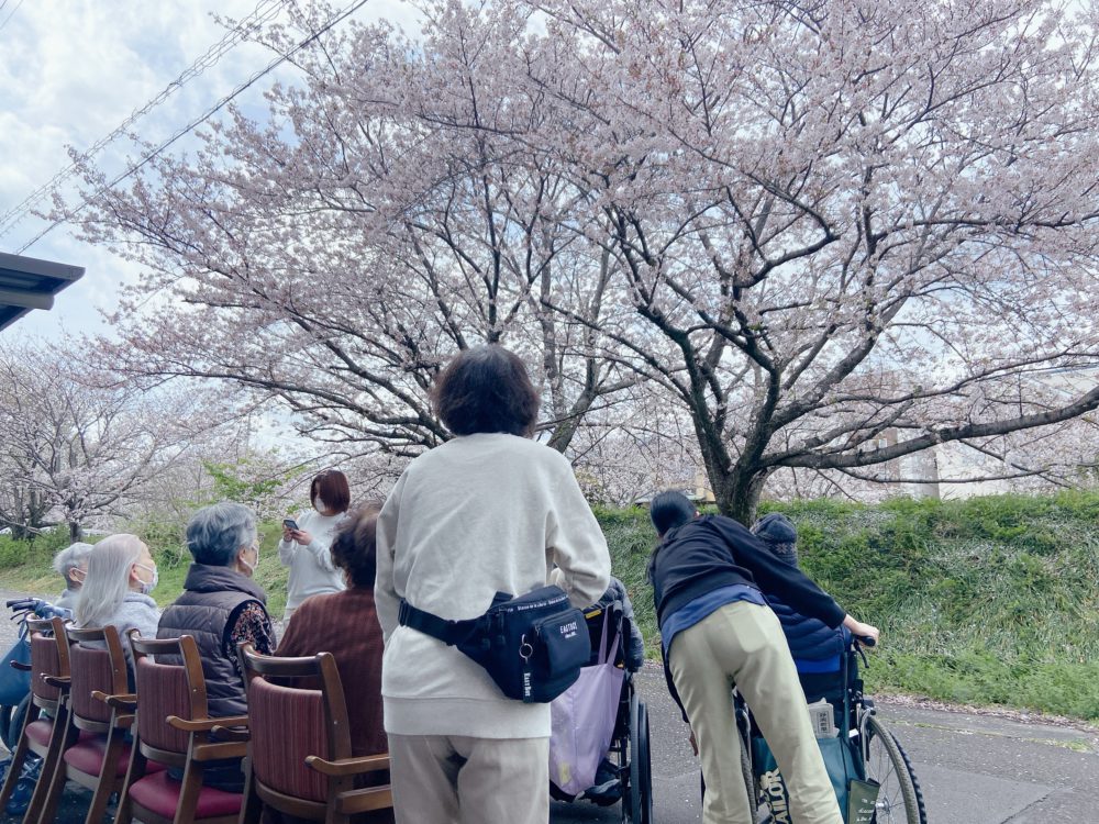 ハートライフ小石川　桜の下でお花見
