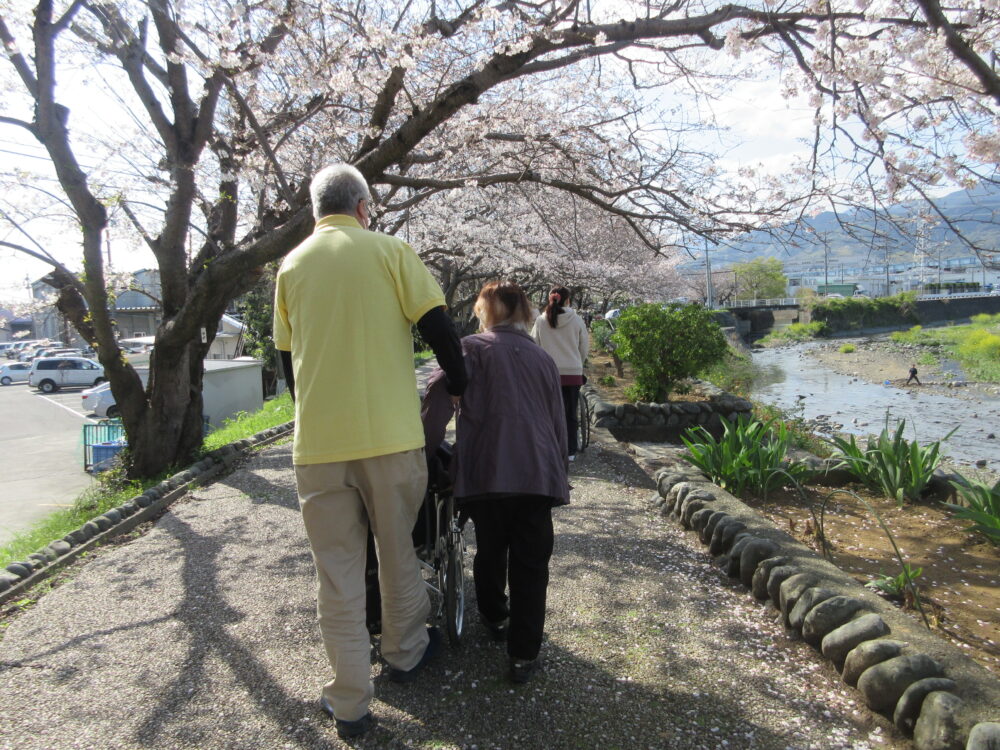静岡市清水区デイサービス_桜のお花見