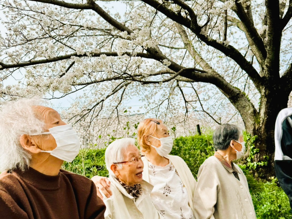 藤枝市デイサービス_春爛漫桜を見に行こう