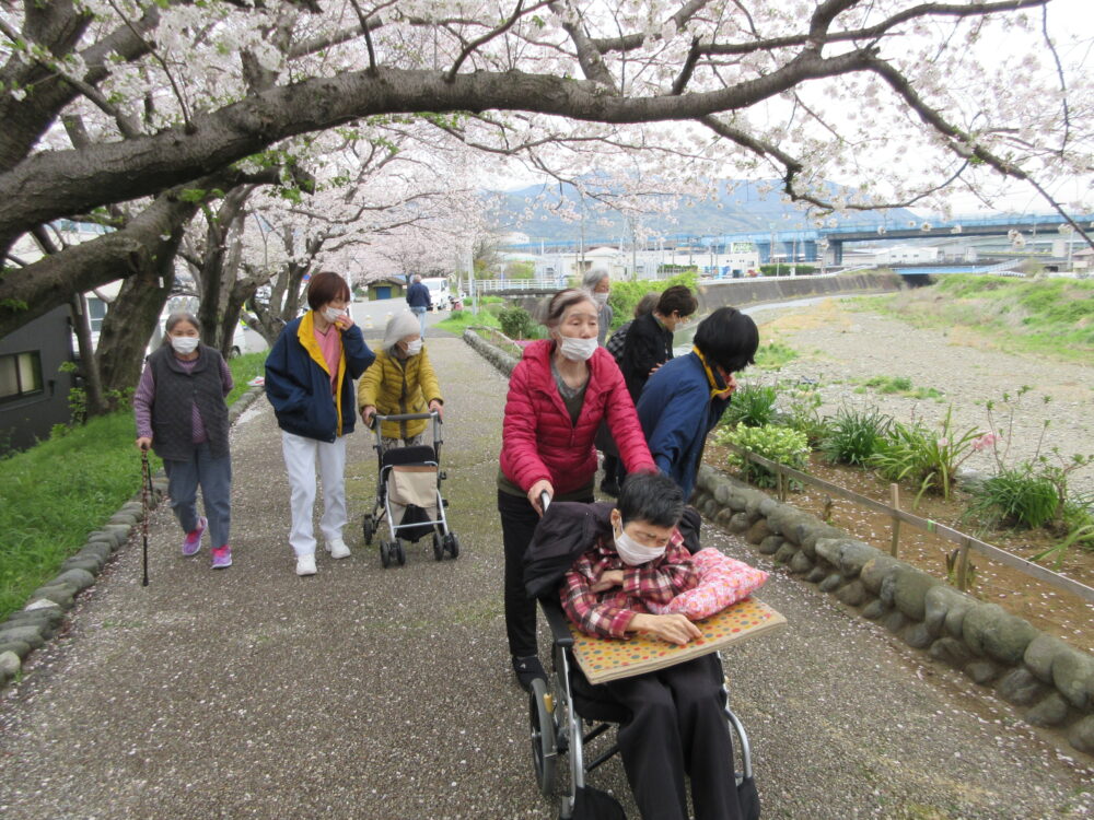 静岡市清水区デイサービス_4月屋外歩行訓練お花見散歩