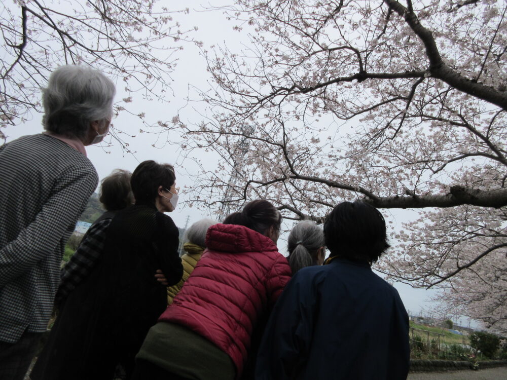清水銀座デイサービス　4月屋外歩行訓練「お花見散歩」