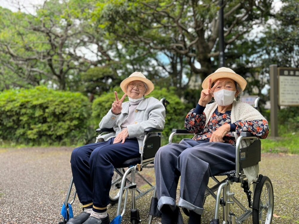 静岡市駿河区デイサービス_城北公園なんじゃもんじゃの木