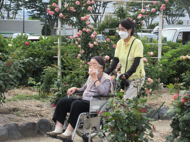 厚原デイサービス　初夏のバラ園散策