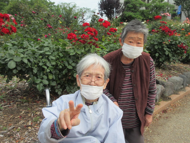 静岡県富士市デイサービス_初夏のバラ園散策