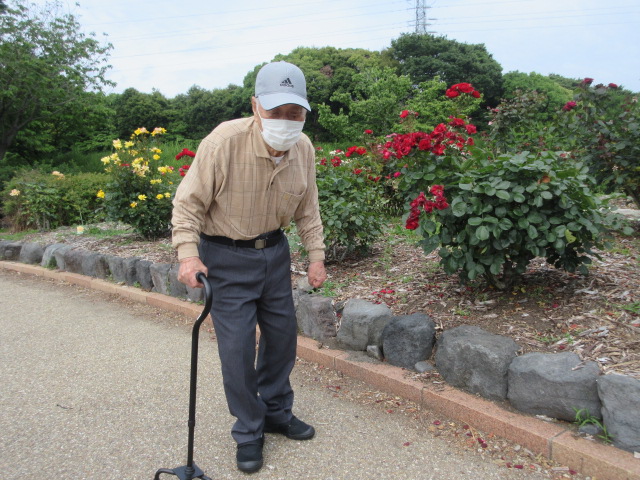 静岡県富士市デイサービス_初夏のバラ園散策