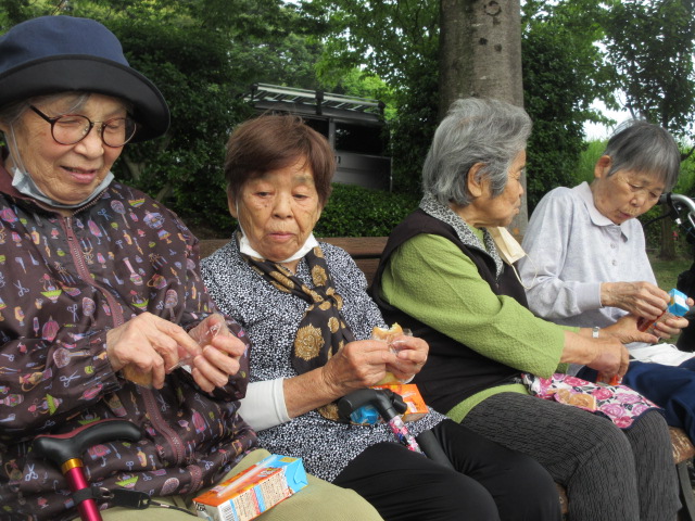 静岡県富士市デイサービス_初夏のバラ園散策