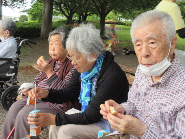 静岡県富士市デイサービス_初夏のバラ園散策