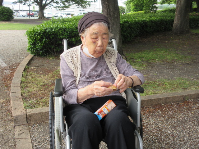 静岡県富士市デイサービス_初夏のバラ園散策