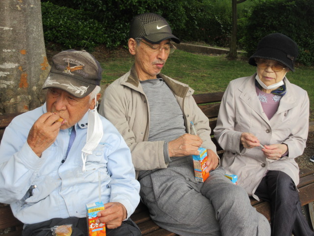 静岡県富士市デイサービス_初夏のバラ園散策