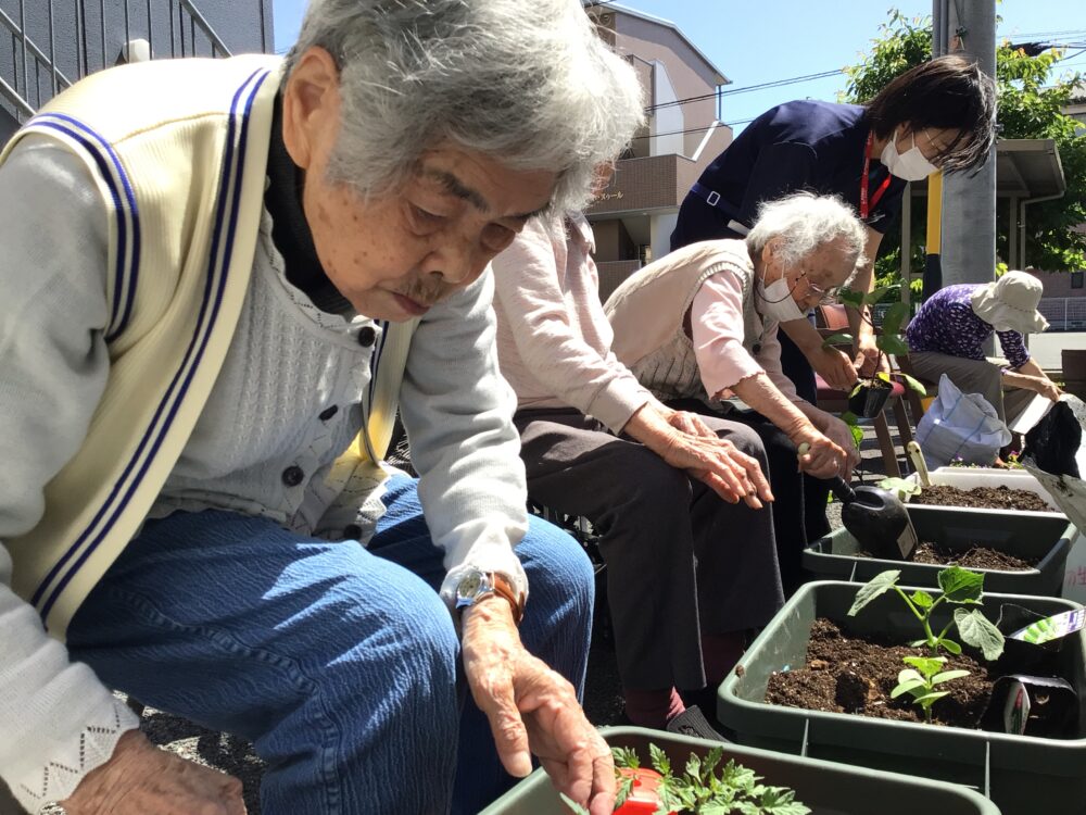 浜松市デイサービス_初生農園と季節のお花