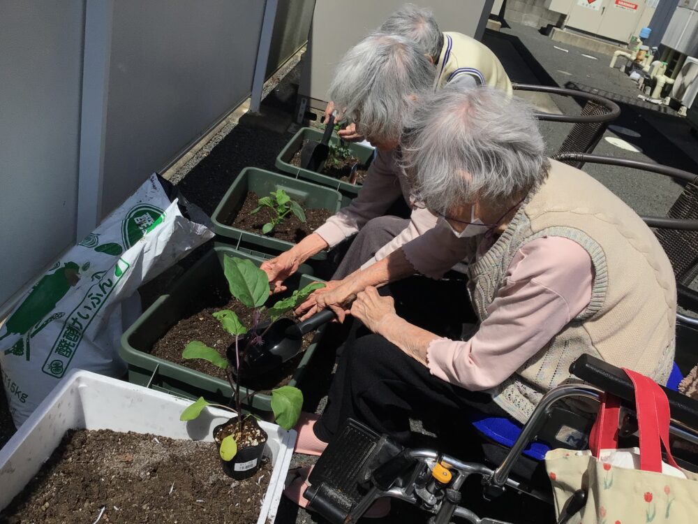 浜松市デイサービス_初生農園と季節のお花