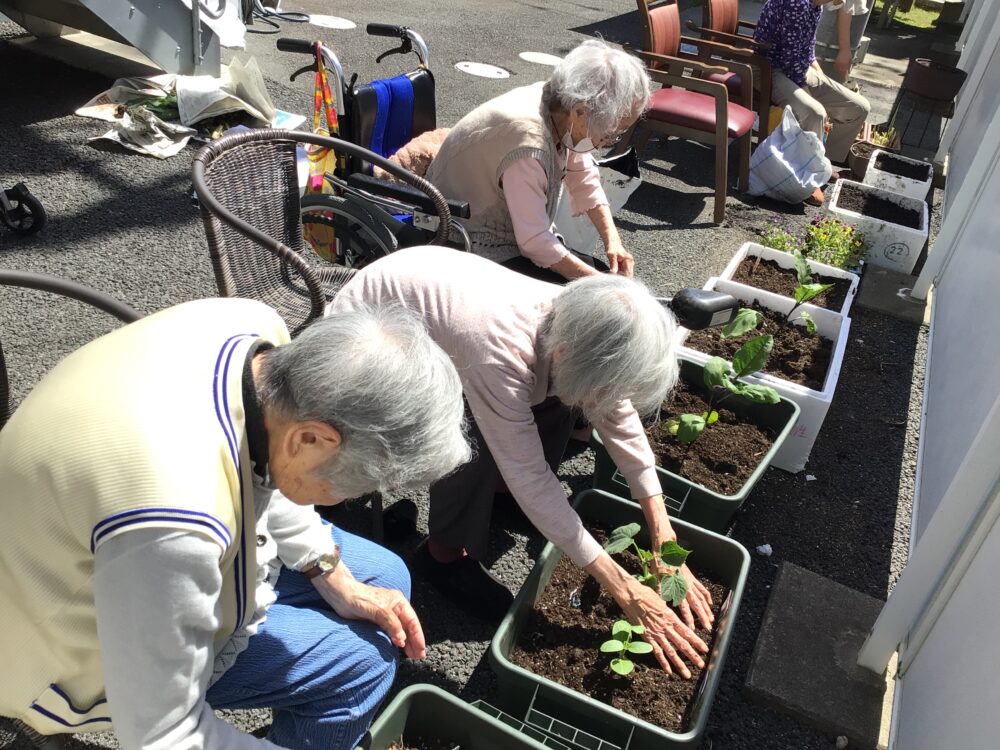 浜松市デイサービス_初生農園と季節のお花