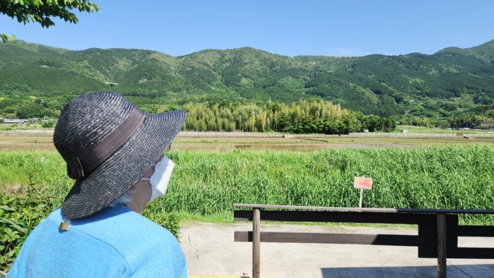 駿東郡長泉町_函南丹那オラッチェでソフトクリームを堪能