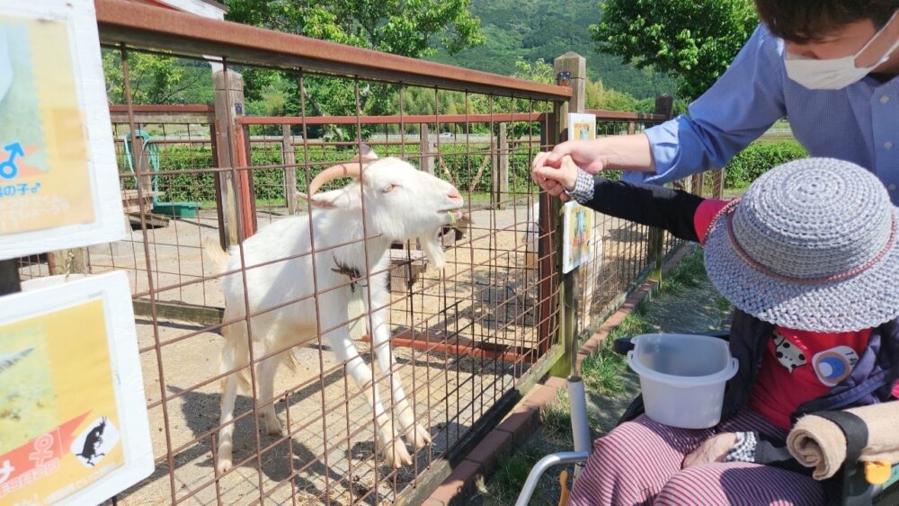 駿東郡長泉町_函南丹那オラッチェでソフトクリームを堪能