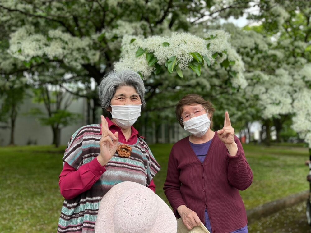 静岡市駿河区デイサービス_城北公園なんじゃもんじゃの木