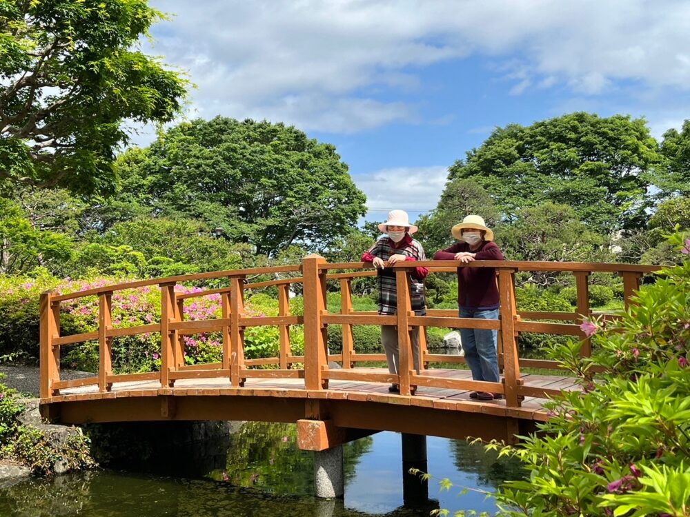 静岡市駿河区デイサービス_城北公園なんじゃもんじゃの木