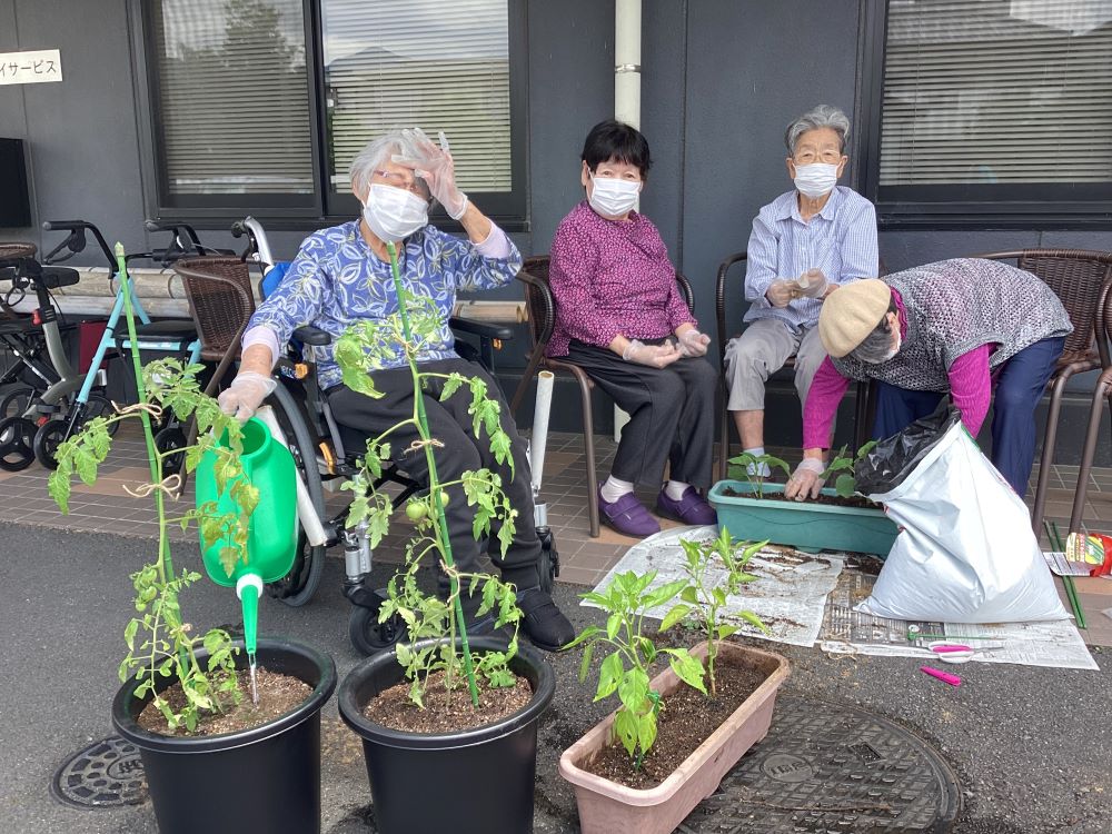 押切デイサービス 　花壇に花をそして心に華を咲かせましょう そして野菜も育てましょう～園芸クラブの活動～