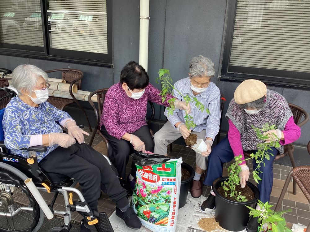 静岡市清水区デイサービス_園芸クラブの活動