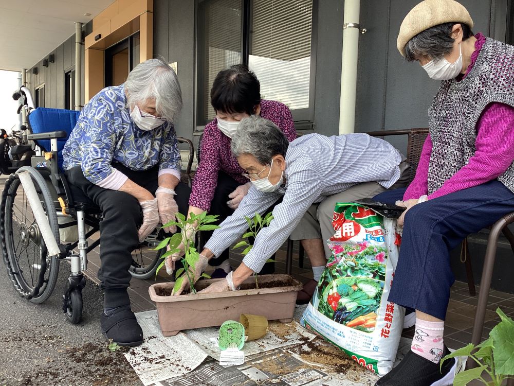 静岡市清水区デイサービス_園芸クラブの活動