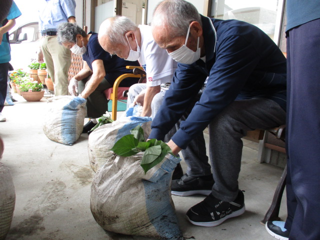 牧之原市デイサービス_さつまいもの苗植え