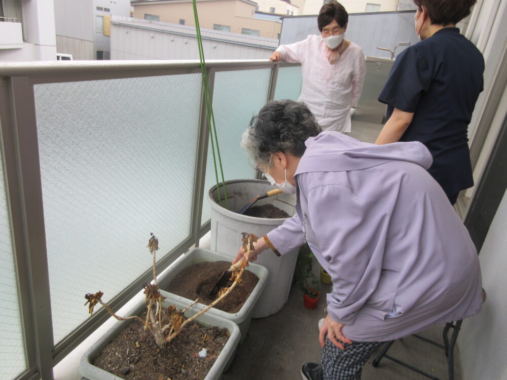 静岡市清水区デイサービス_夏野菜植え付け