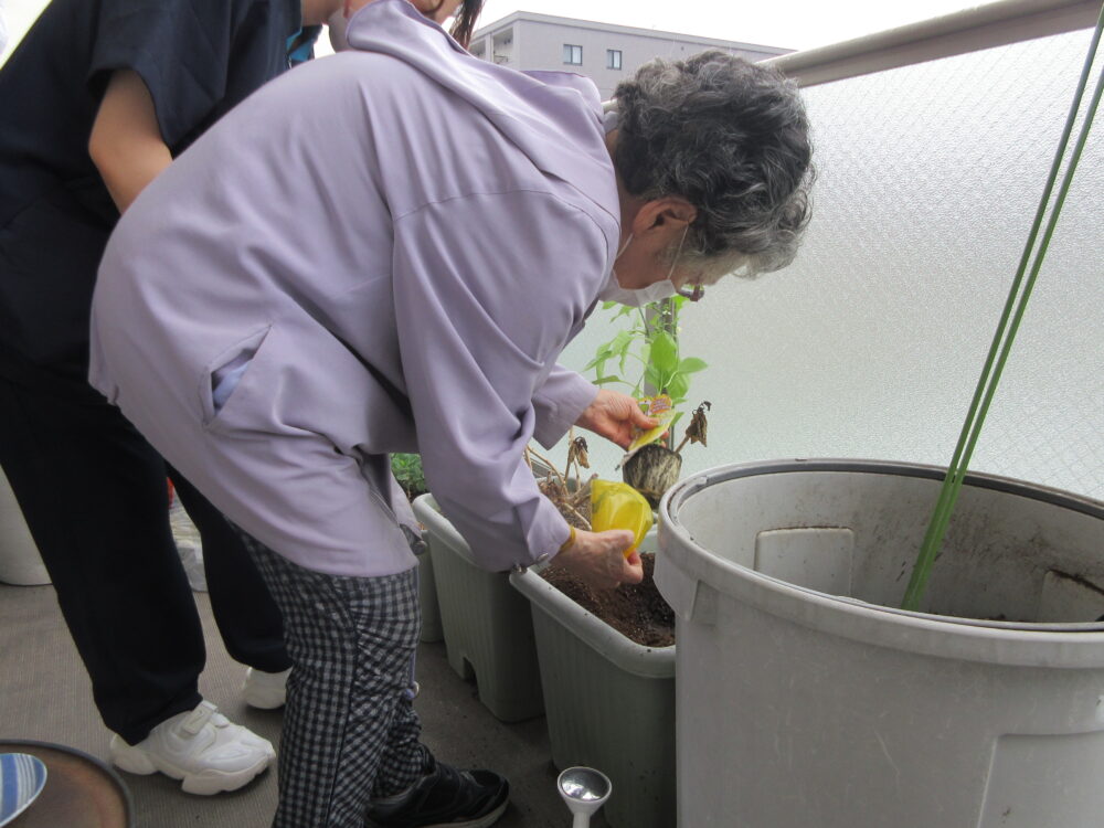 静岡市清水区デイサービス_夏野菜植え付け