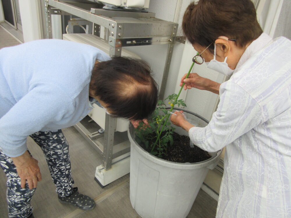 静岡市清水区デイサービス_夏野菜植え付け