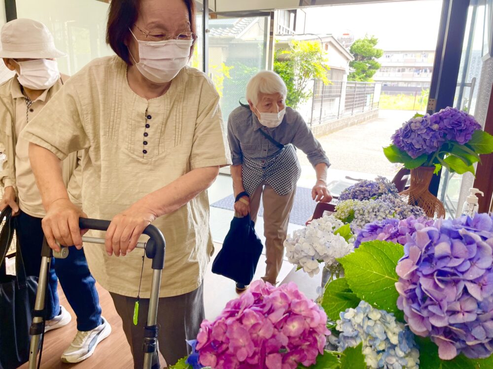 静岡市駿河区デイサービス_紫陽花祭り