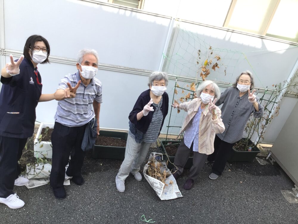 浜松市デイサービス_初生農園夏野菜の収穫と土づくり