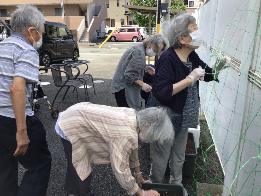 浜松市デイサービス_初生農園夏野菜の収穫と土づくり