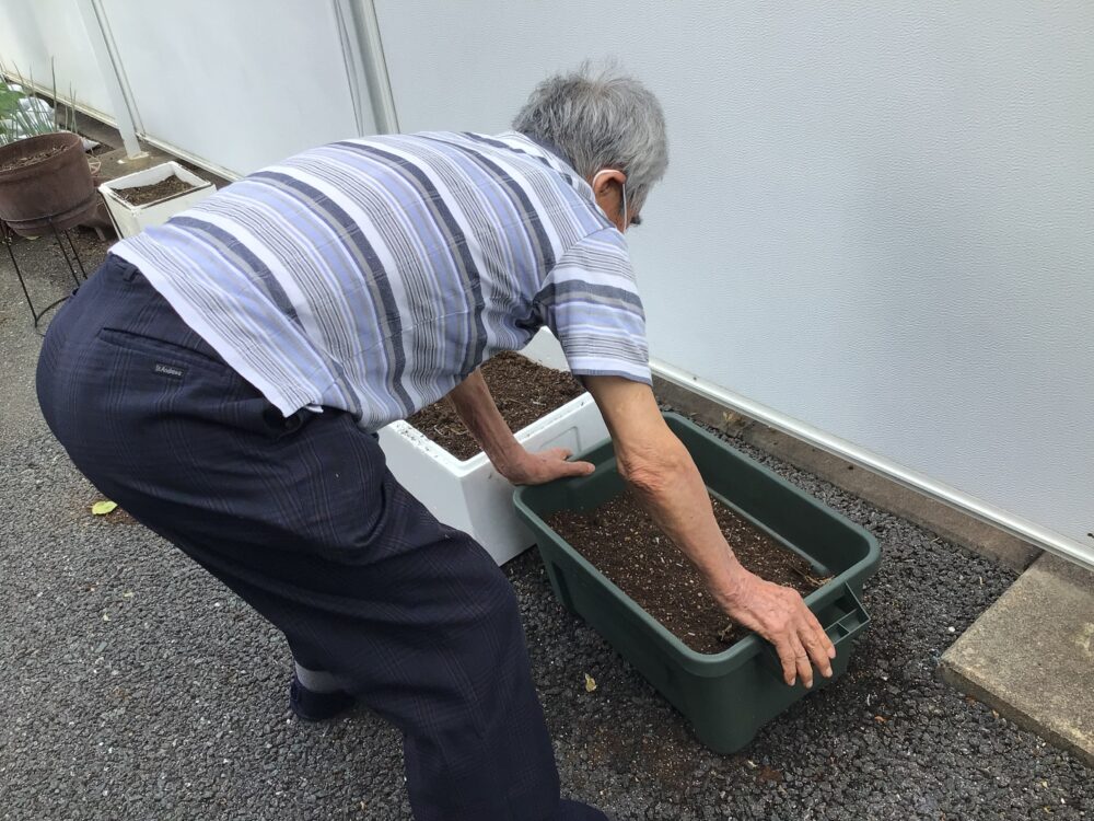 浜松市デイサービス_初生農園夏野菜の収穫と土づくり