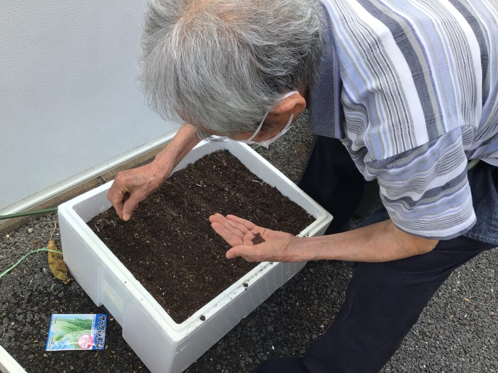 浜松市デイサービス_初生農園夏野菜の収穫と土づくり