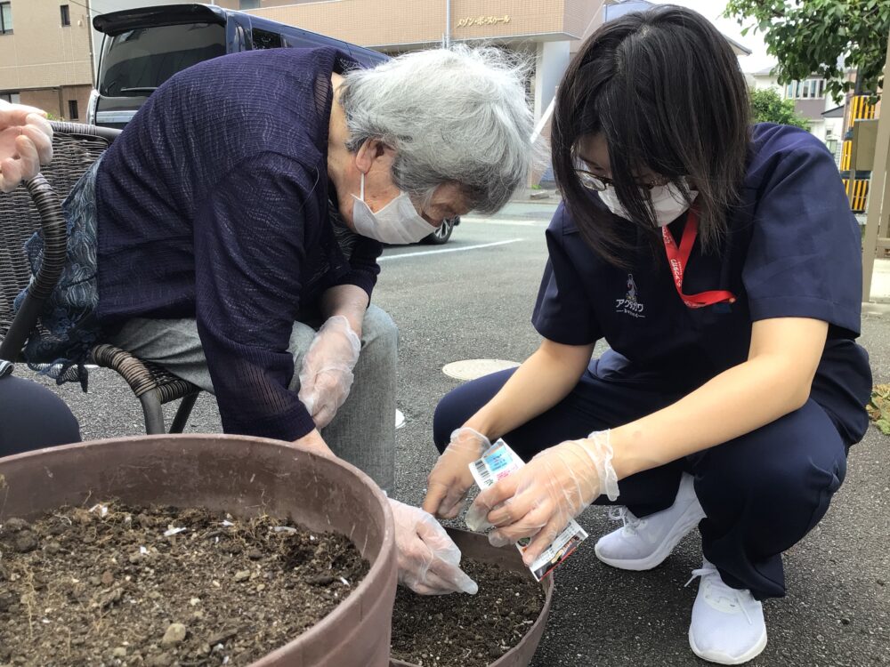 浜松市デイサービス_初生農園夏野菜の収穫と土づくり