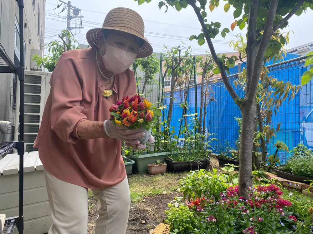 駿東郡長泉町デイサービス_園芸クラブ花と緑のコンクール今年も挑みます