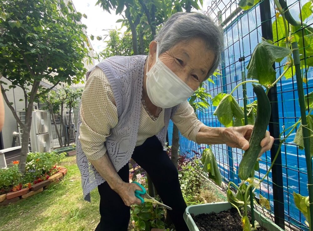 駿東郡長泉町デイサービス_園芸クラブ夏野菜を堪能