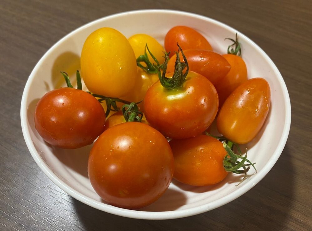 駿東郡長泉町デイサービス_園芸クラブ夏野菜を堪能