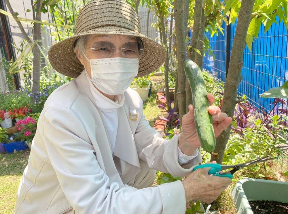 長泉デイサービス　園芸クラブ　夏野菜を堪能