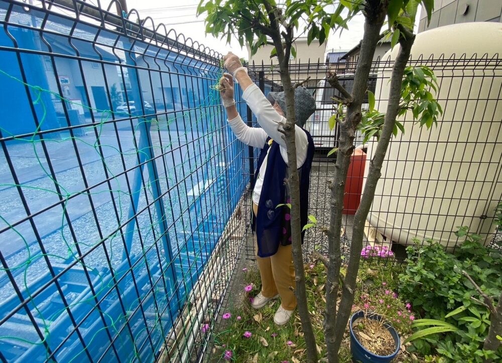 駿東郡長泉町デイサービス_園芸クラブ夏野菜を堪能