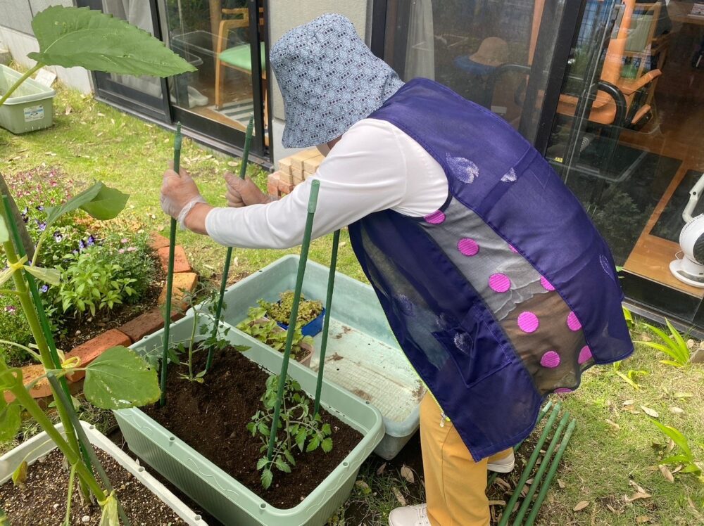 駿東郡長泉町デイサービス_園芸クラブ夏野菜を堪能