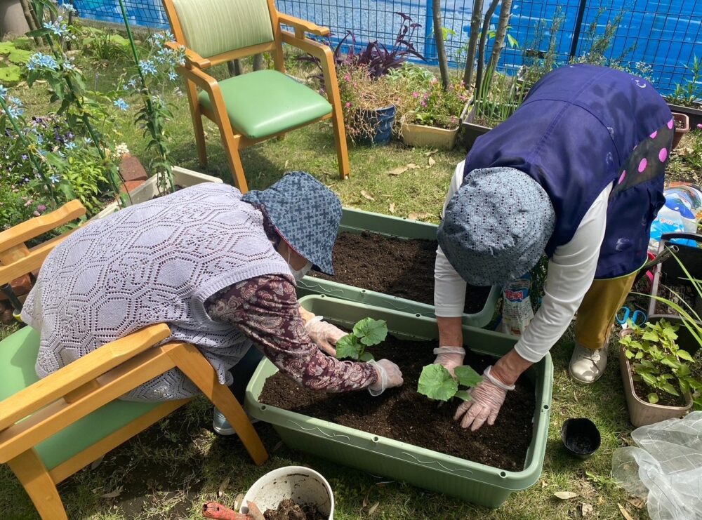 駿東郡長泉町デイサービス_園芸クラブ夏野菜を堪能