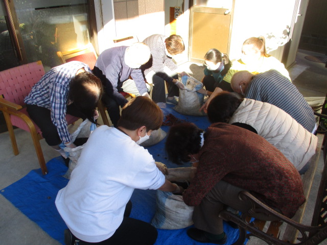 牧之原市デイサービス_園芸療法さつまいも収穫