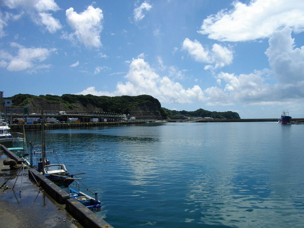 静岡市清水区デイサービス_令和６年12月6日金千葉県勝浦漁港通過