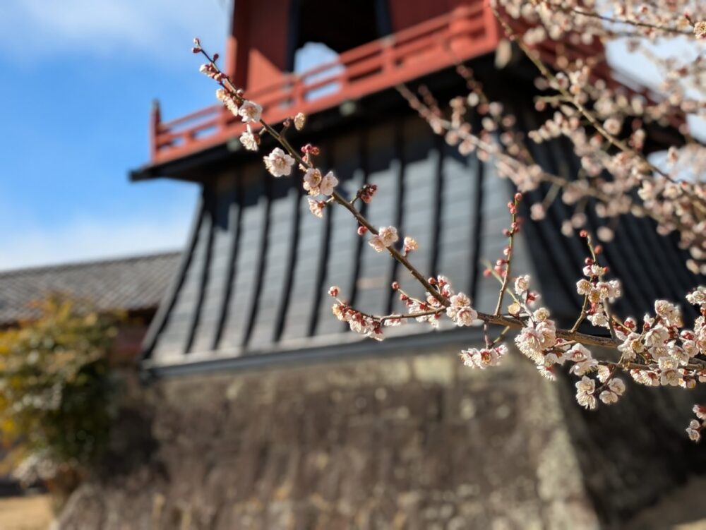 静岡市葵区デイサービス_小さな旅蓮永寺