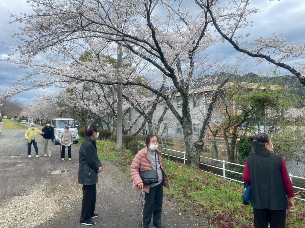 静岡市駿河区デイサービス_桜満開屋外歩行訓練