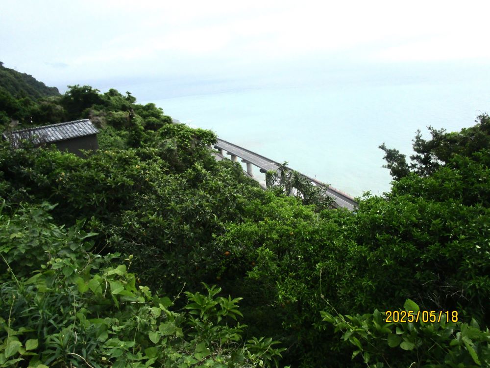 静岡市清水区デイサービス_男衆全員集合