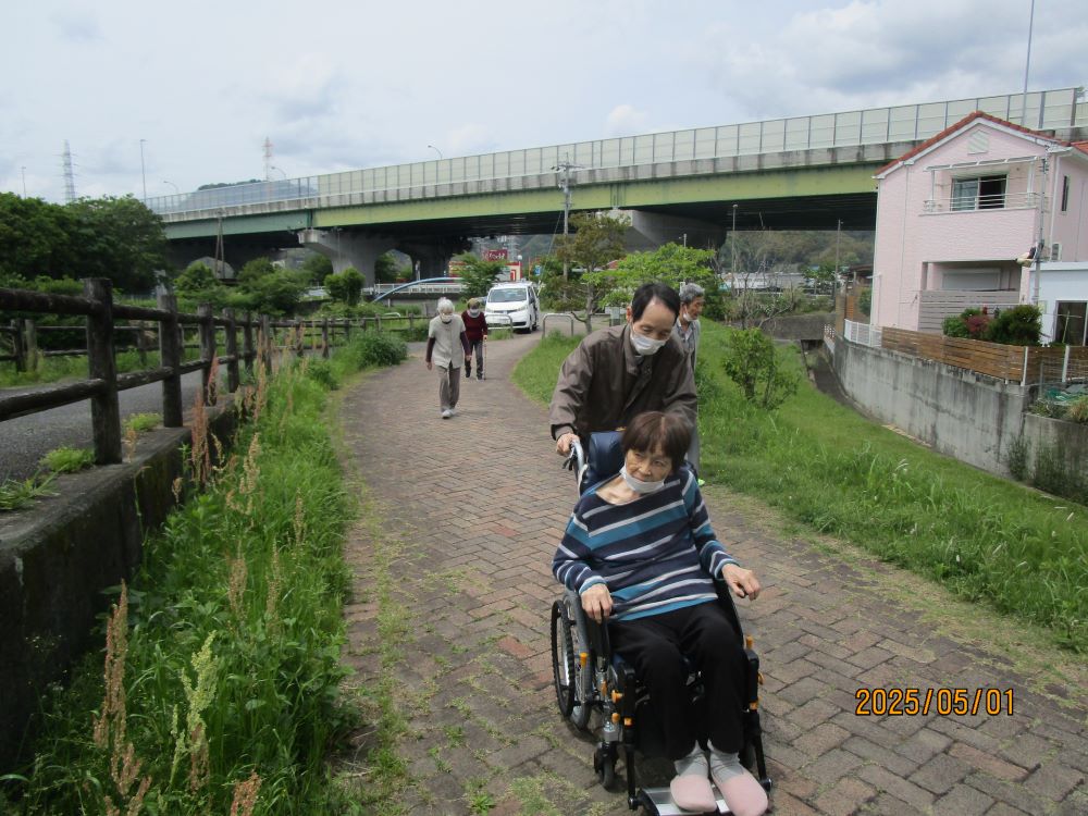 静岡市清水区デイサービス_歩こうクラブ 鯉のぼりを見に行こう