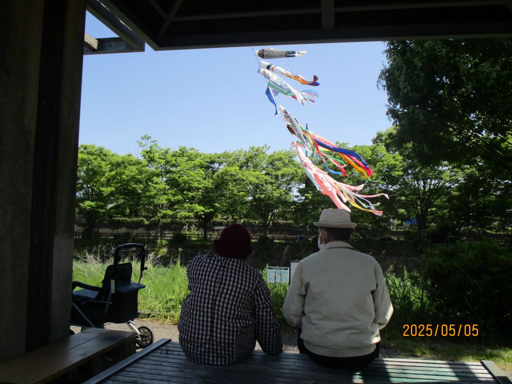 静岡市清水区デイサービス_歩こうクラブ 鯉のぼりを見に行こう