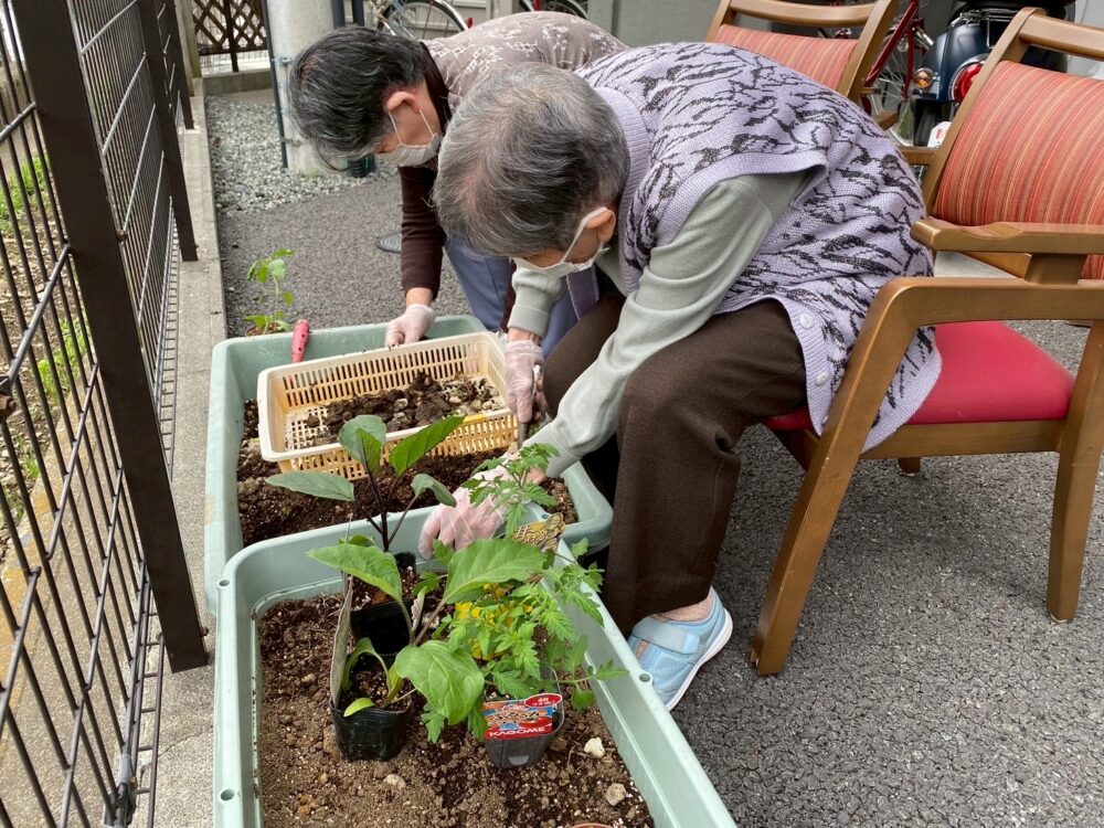 駿東郡長泉町デイサービス_夏野菜はじめました
