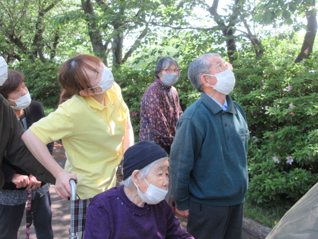 富士市デイサービス_屋外歩行訓練新緑散策